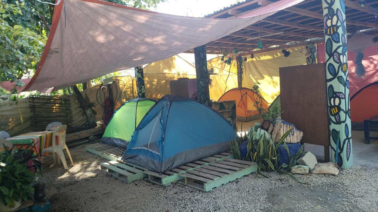 Hostal Y Camping Las G バカラル エクステリア 写真