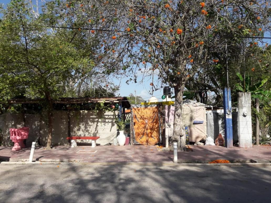 Hostal Y Camping Las G バカラル エクステリア 写真