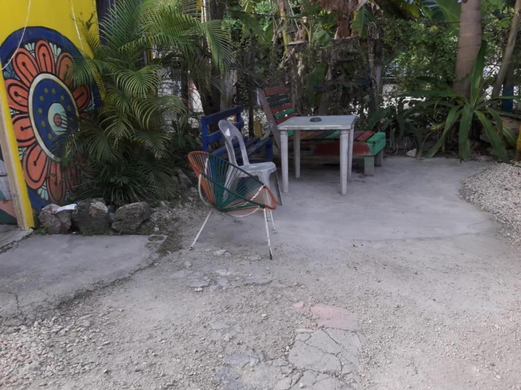 Hostal Y Camping Las G バカラル エクステリア 写真