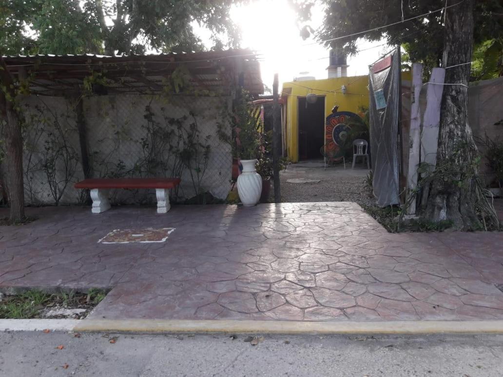 Hostal Y Camping Las G バカラル エクステリア 写真