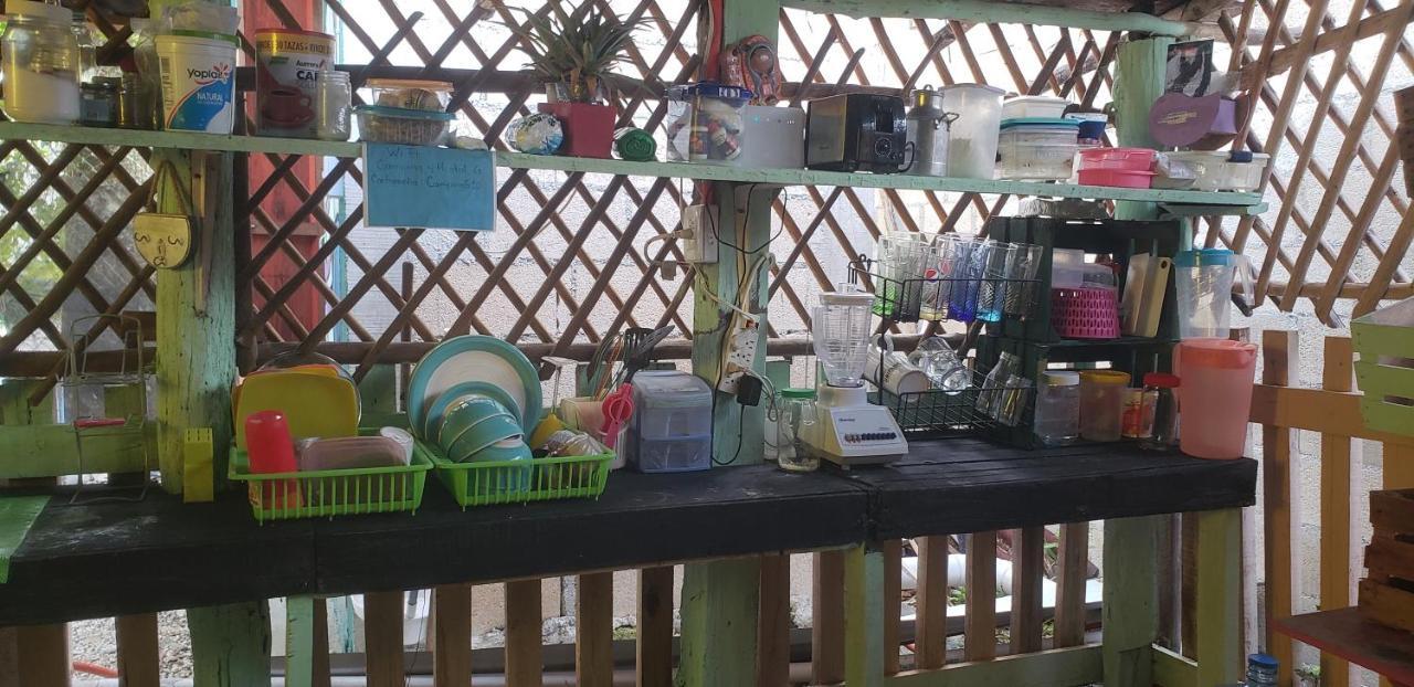 Hostal Y Camping Las G バカラル エクステリア 写真
